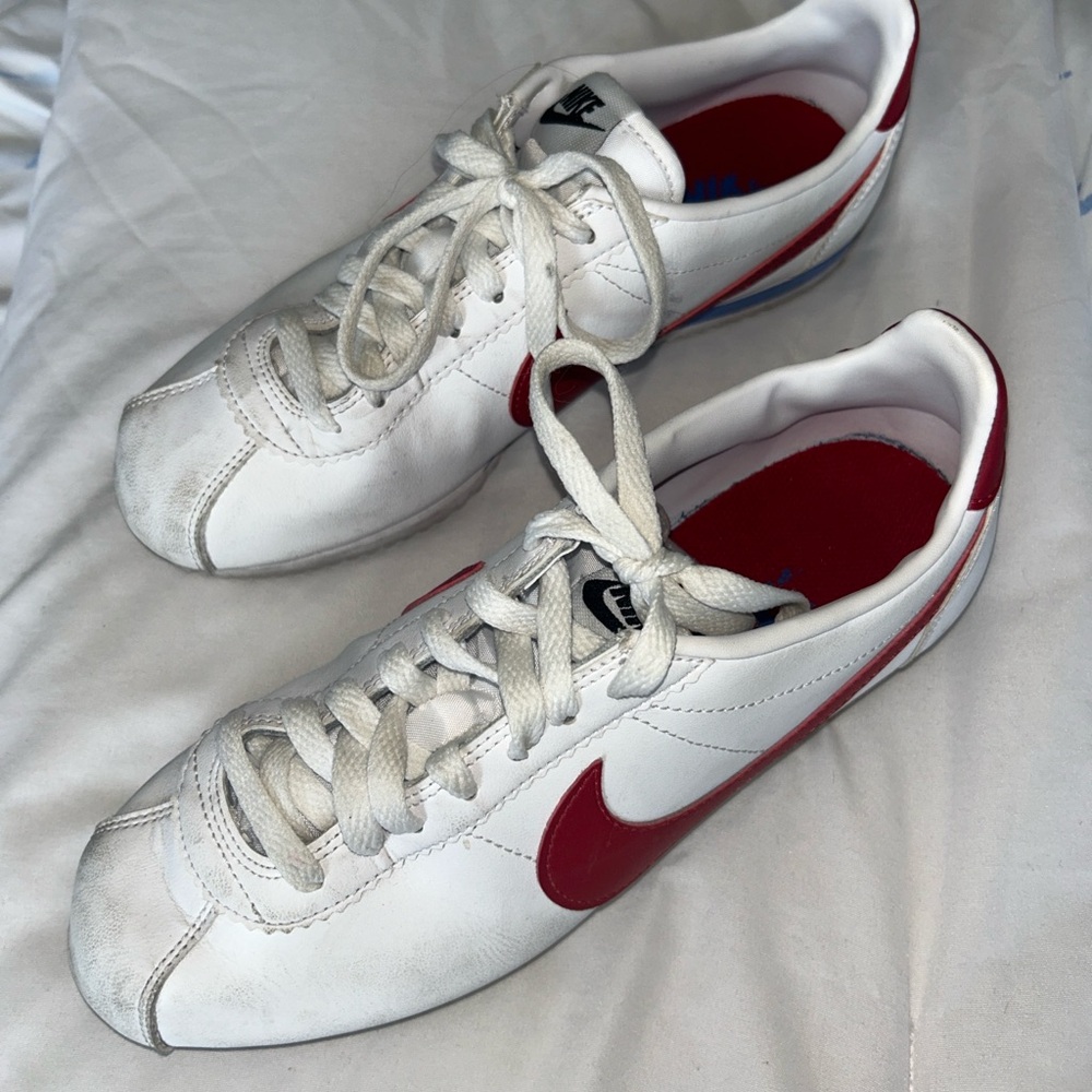 Nike Red and Blue Sneaker